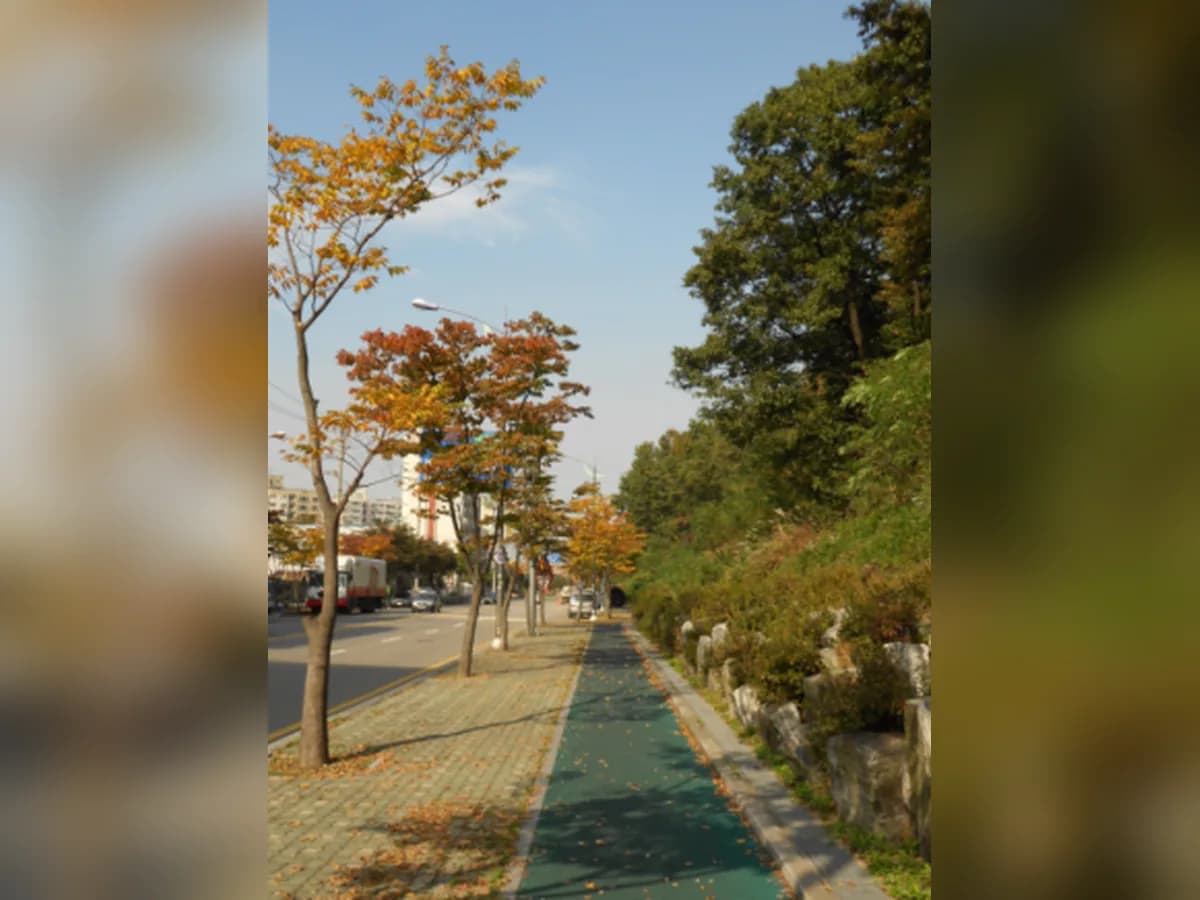 카네이션요양원 이미지 8