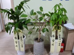 하남관심요양원