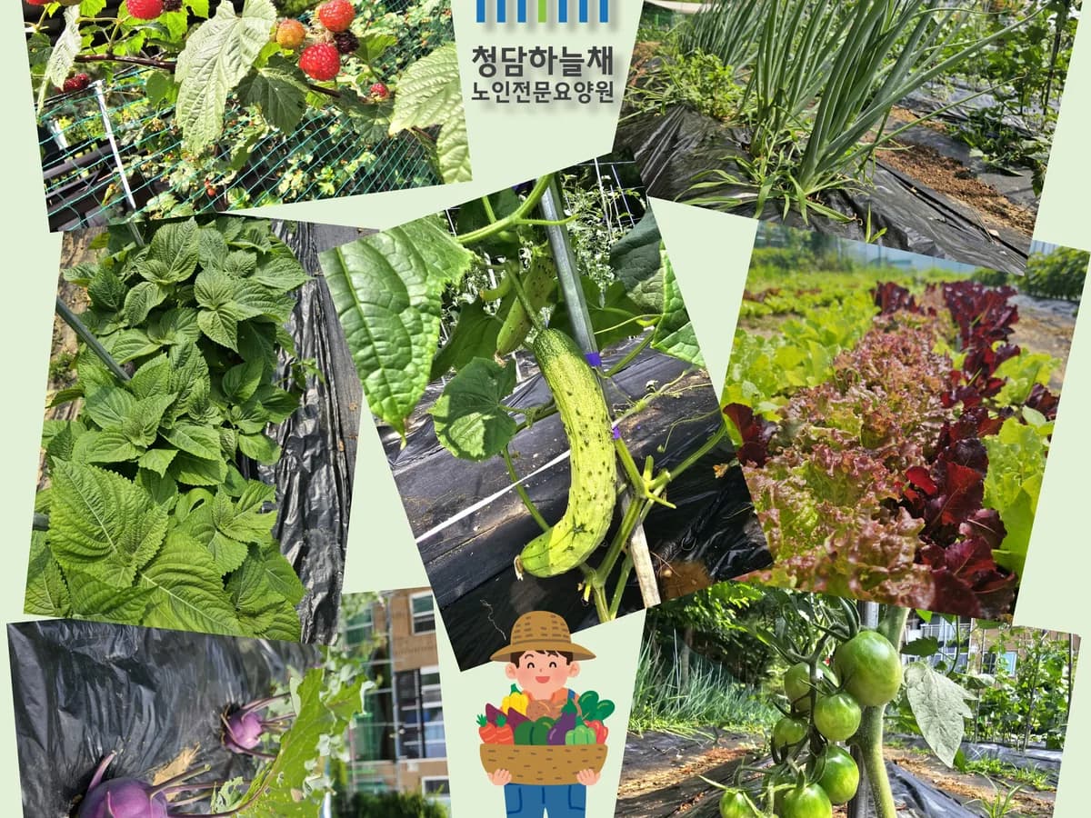 청담하늘채요양원 이미지 3