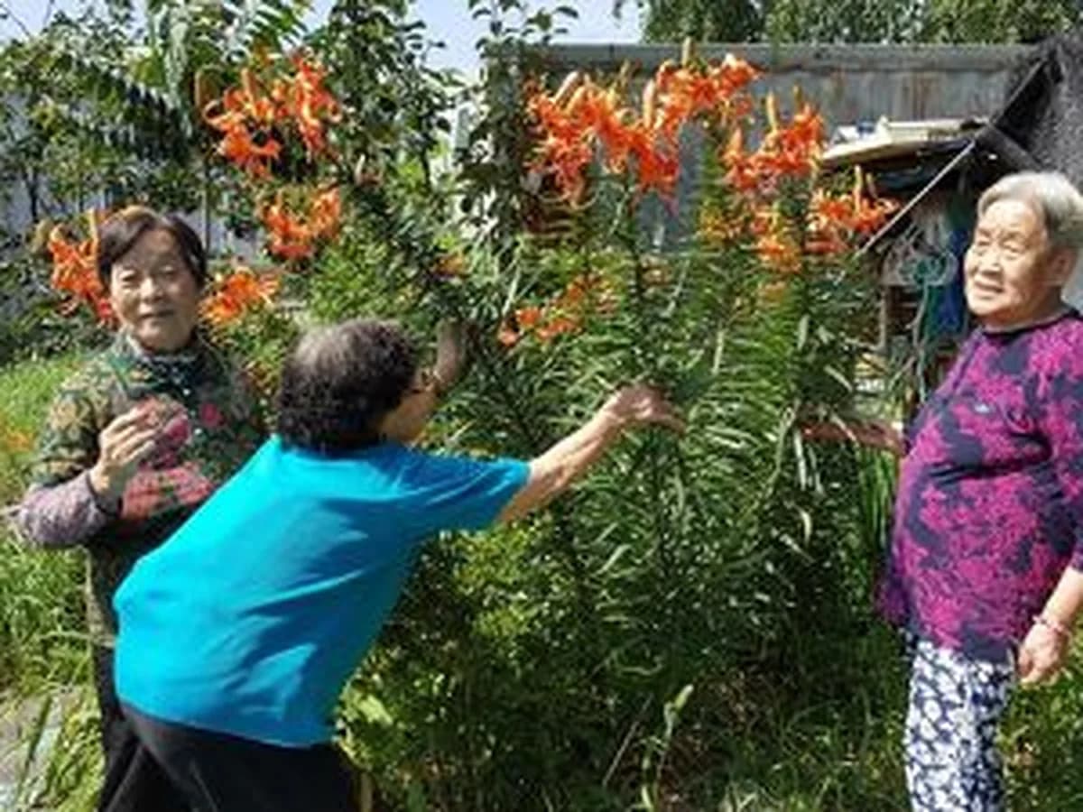용인해바라기요양원 이미지 2