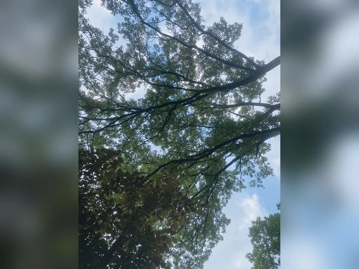 즐거운우리집 이미지 1