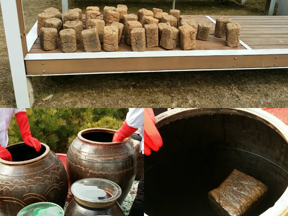 (주)무지개실버케어스 이미지 4