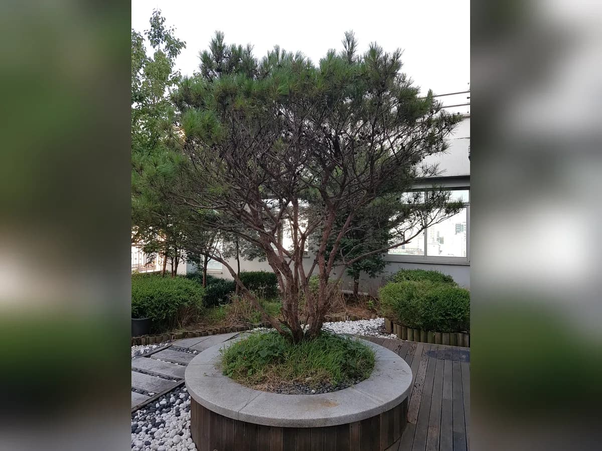 용인삼성노인전문요양원 이미지 6