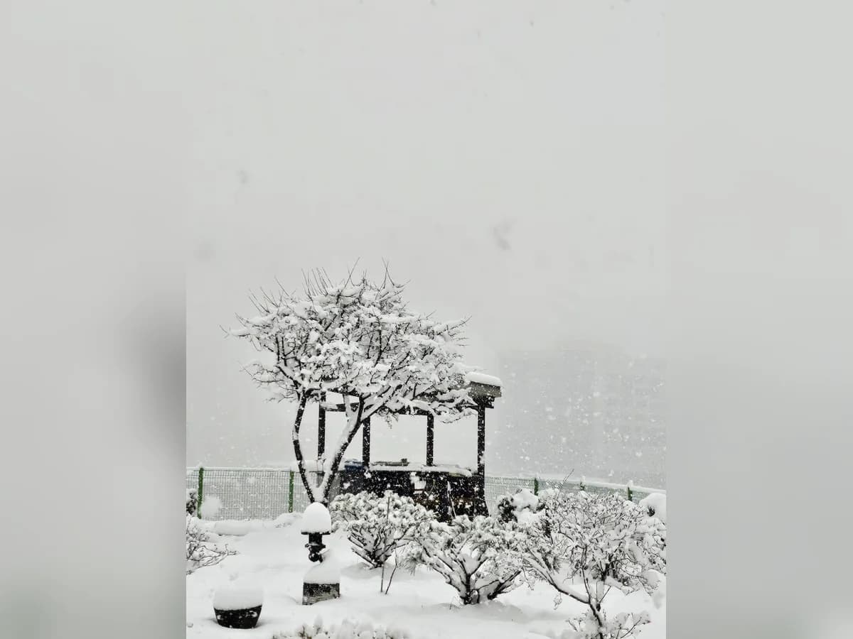 꽃향기요양원 이미지 2