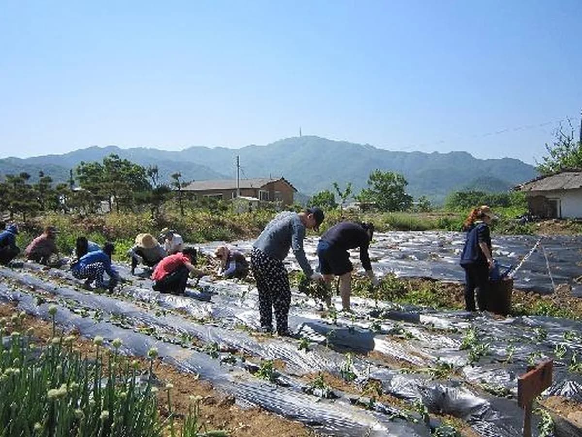 사랑의 쉼터 이미지 2