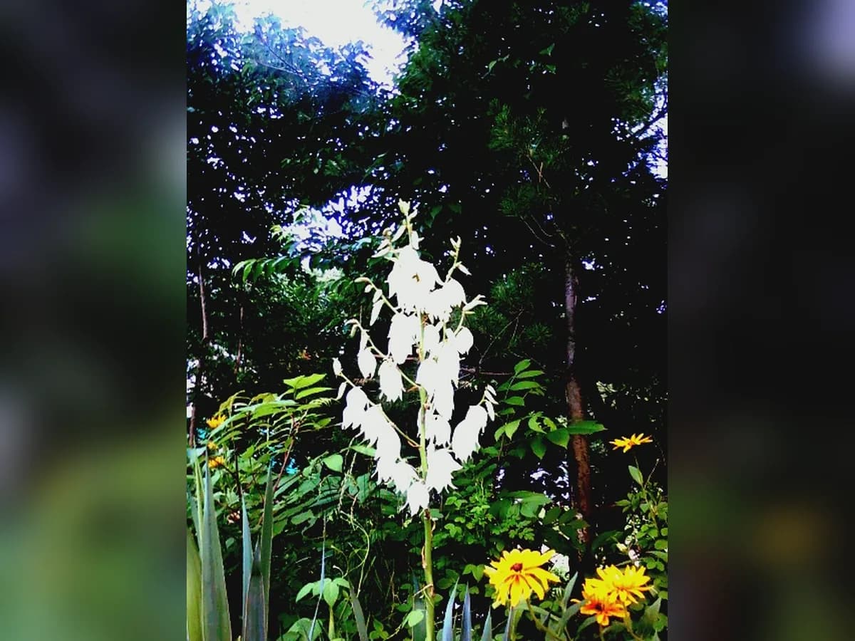 한빛실버카운티 이미지 8