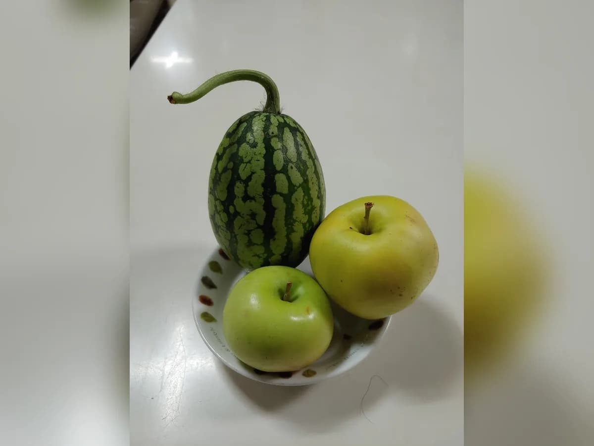 월롱패밀리 요양원 이미지 8