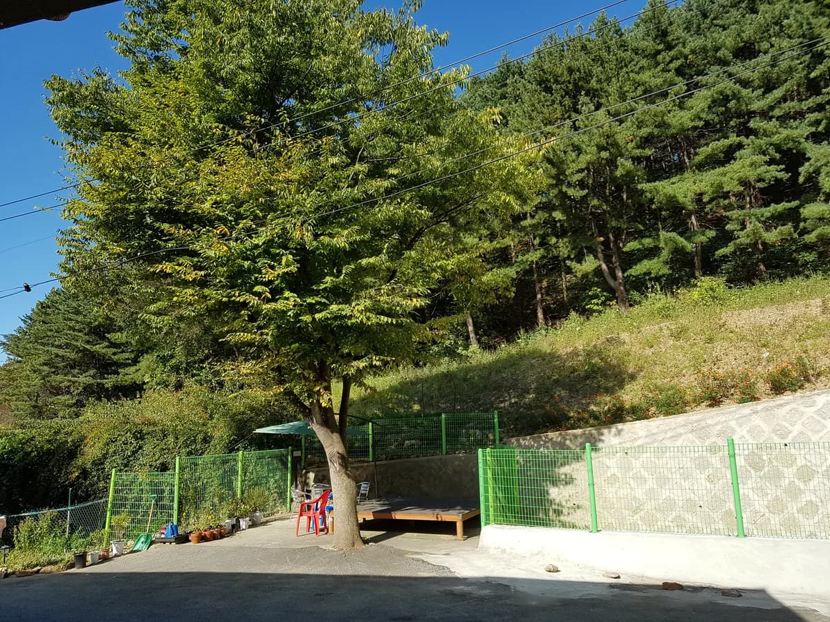 양지요양원 이미지 3