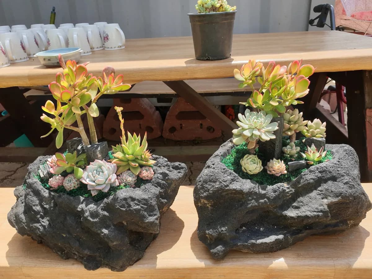 효경원 이미지 3