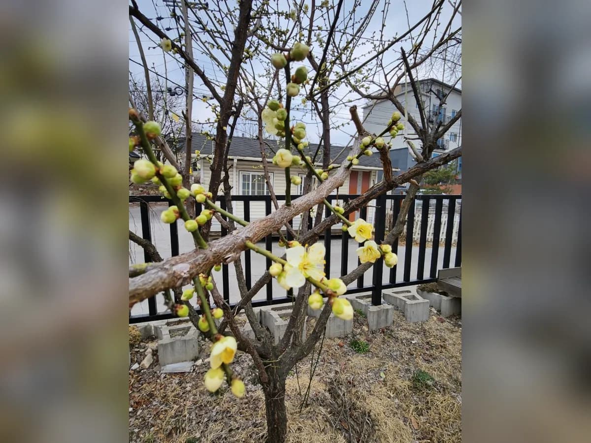 행복나래 요양원 이미지 1