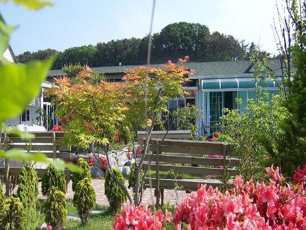 로뎀동산 이미지 2