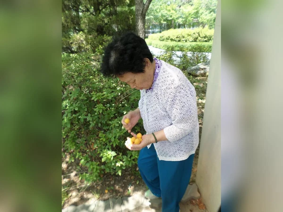 건강한 이미지 4