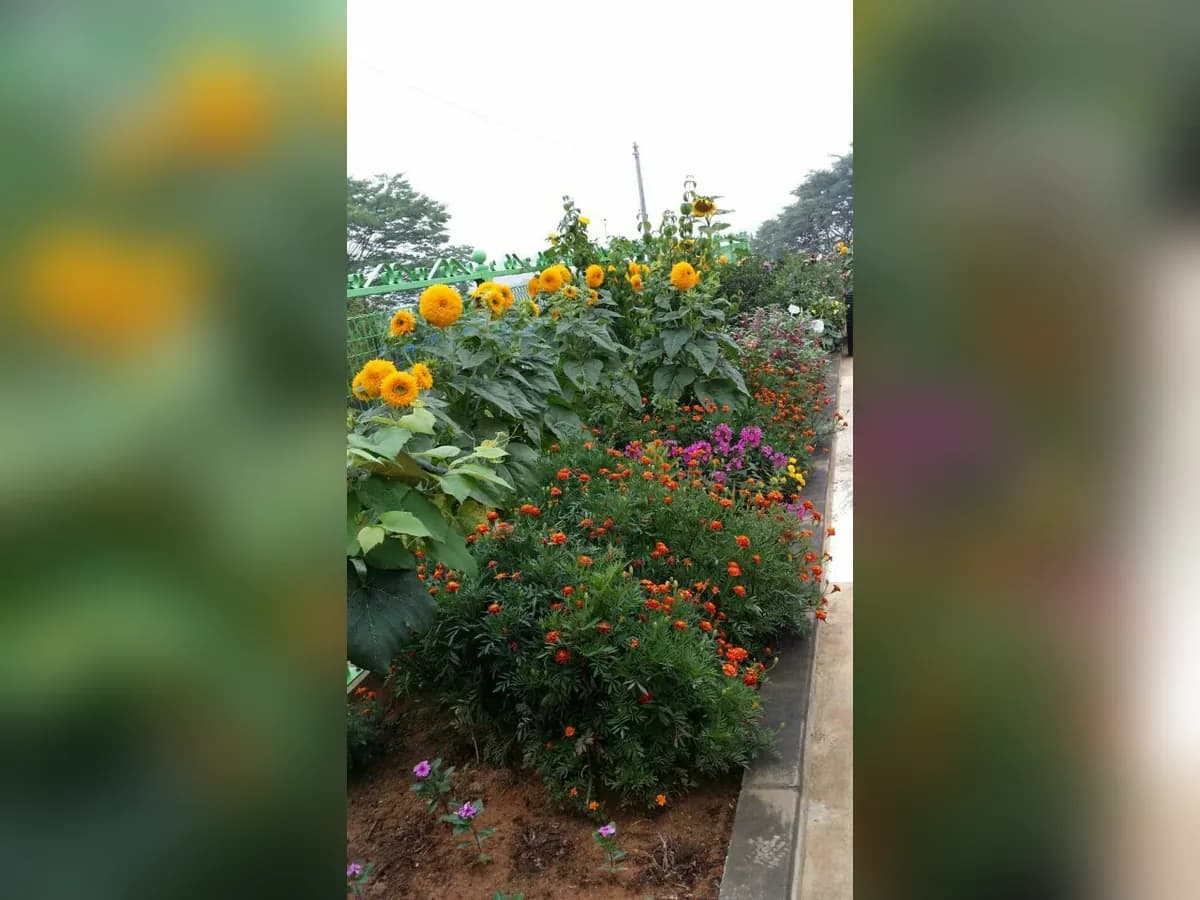 화성 사랑마루 이미지 2