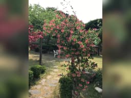 하예성 사랑의 집