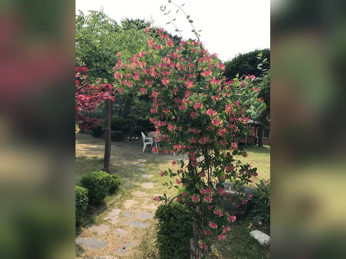 하예성 사랑의 집 이미지 1