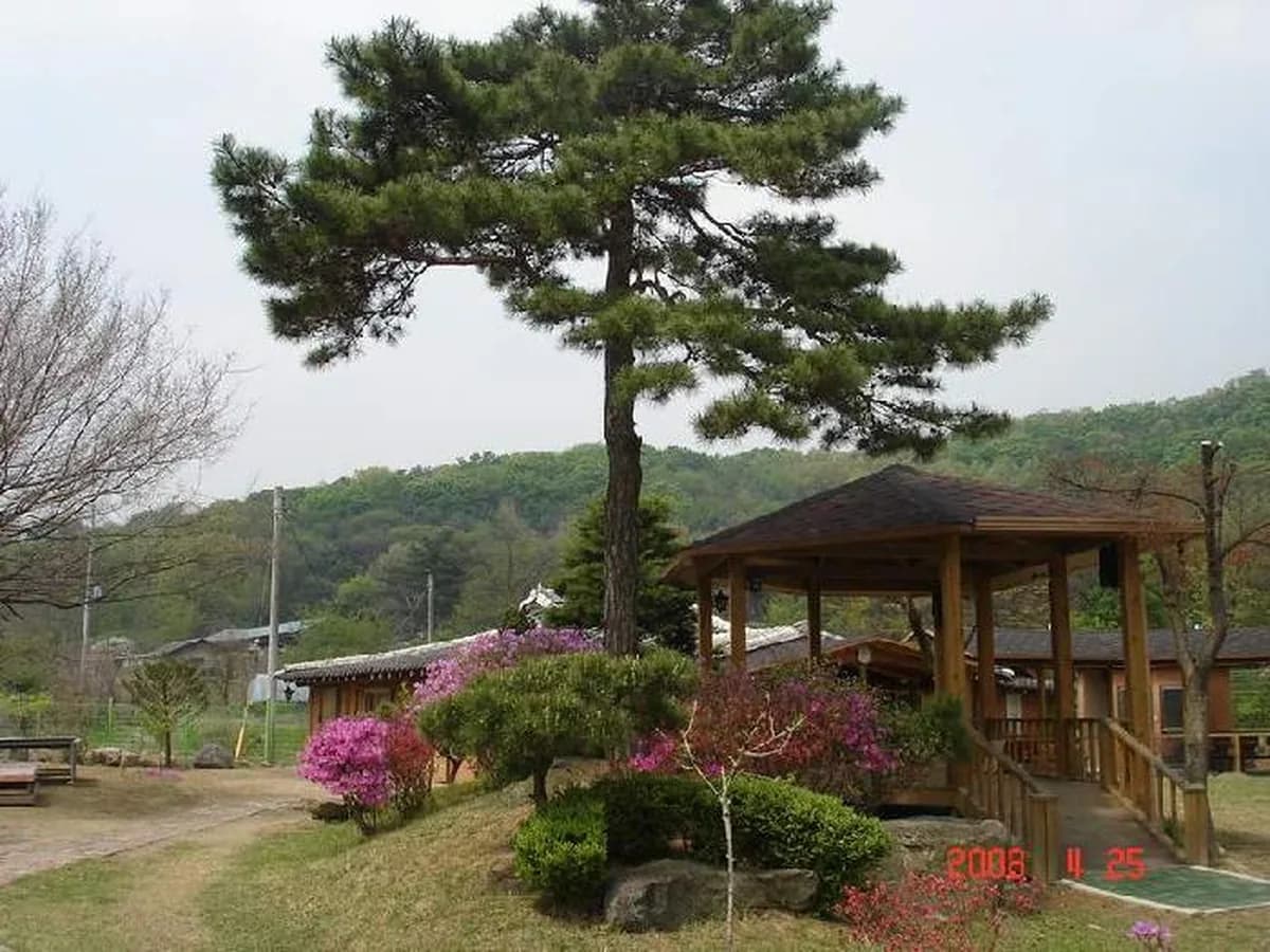 하예성 사랑의 집 이미지 6