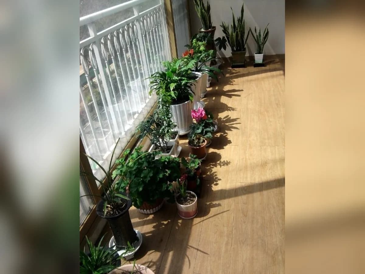 한울노인공동생활가정 이미지 1