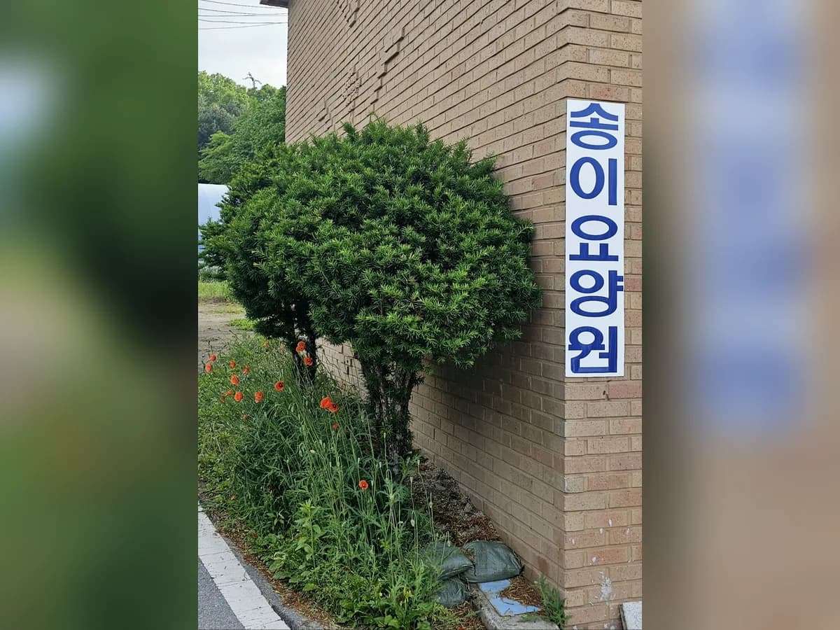 송이요양원 이미지 1