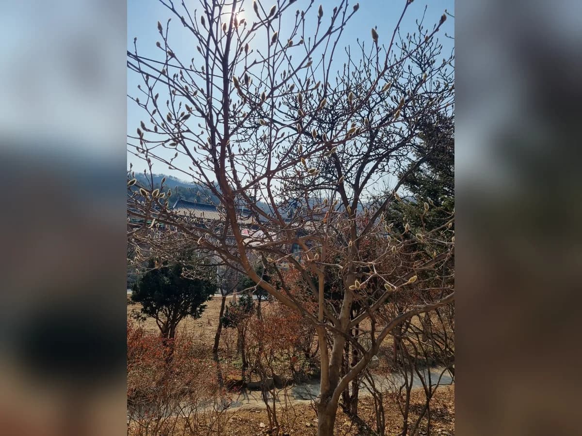 연화실버요양원 이미지 3