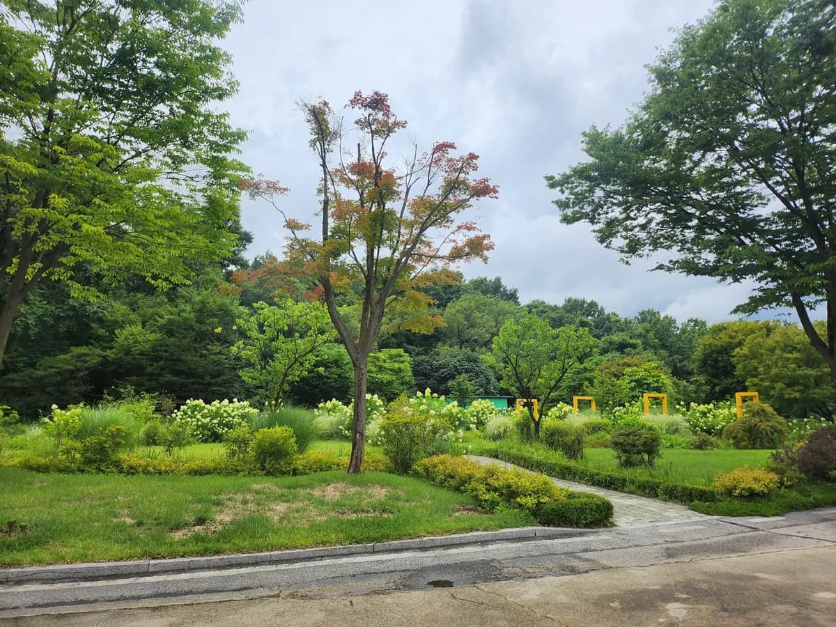 사회복지법인 효담전문요양원 이미지 2