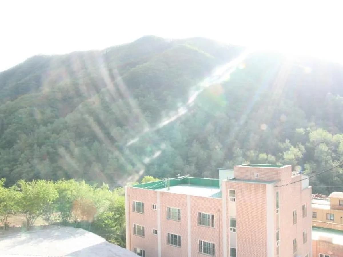 사랑의집 이미지 2