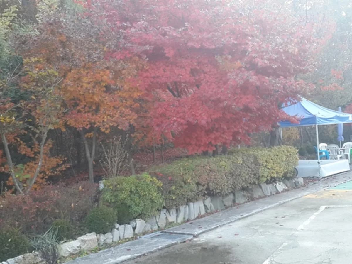 로뎀요양원 이미지 8