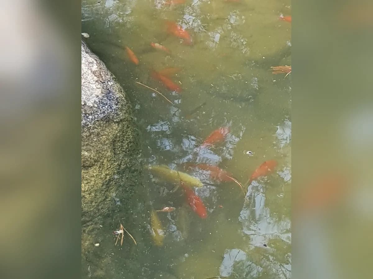 천사의집 이미지 7