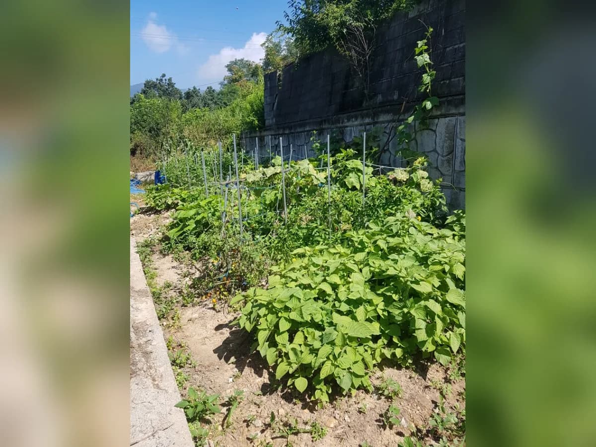 더 편한 요양원 이미지 5
