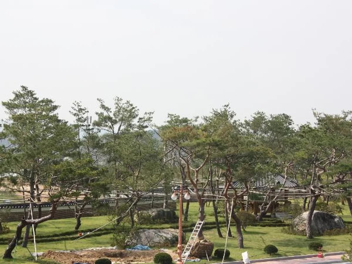 대진요양시설 이미지 5