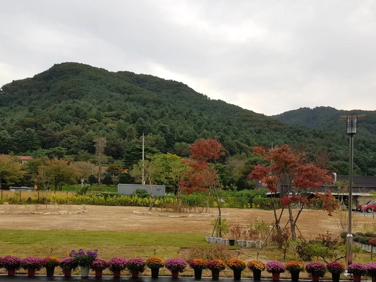 파인트리골든케어 이미지 1