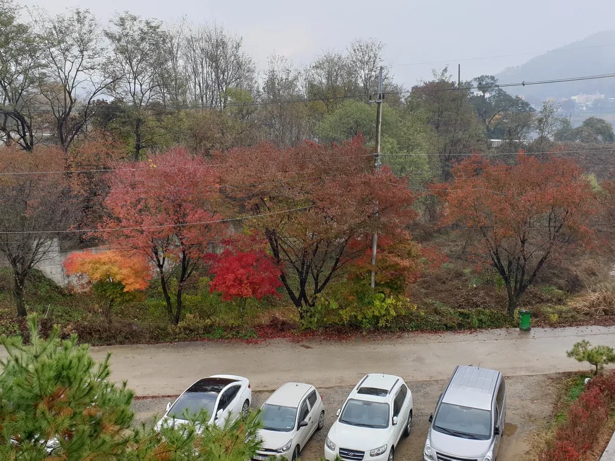 양평시니어센터 이미지 4