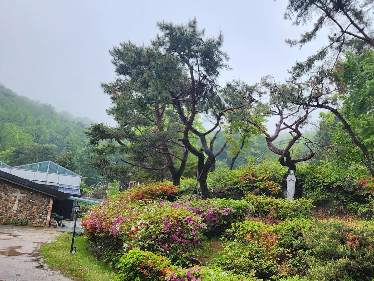 양평성모원 이미지 4
