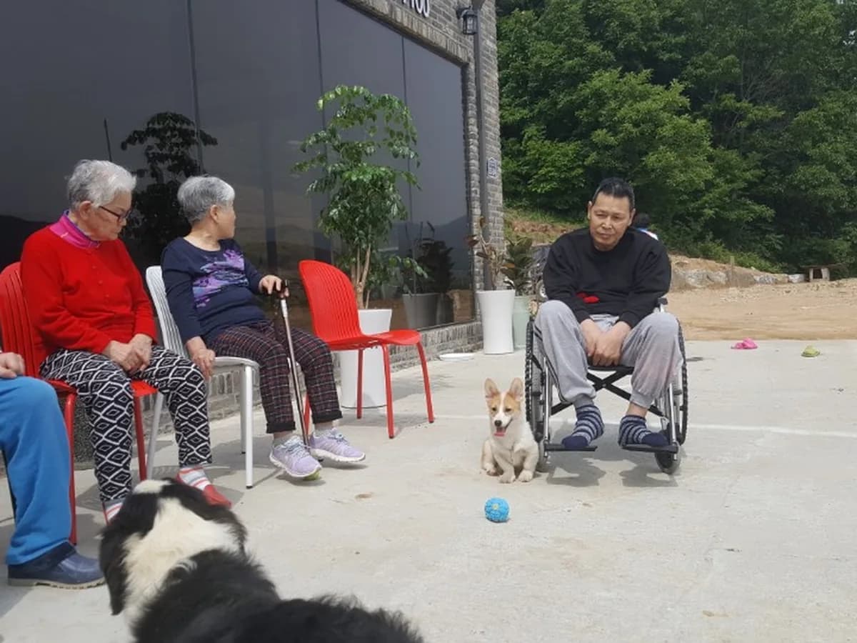 둥지원 실버타운 이미지 1