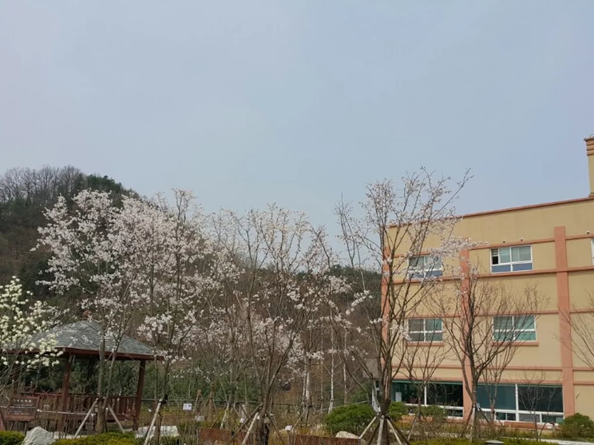 연화마을 이미지 4