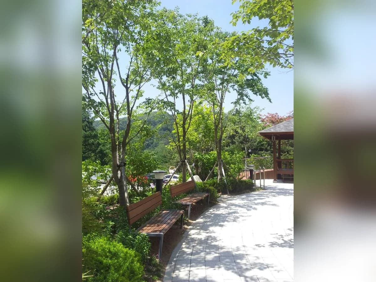 연화마을 이미지 6