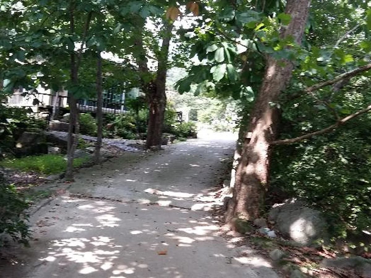자연숲요양원 이미지 1