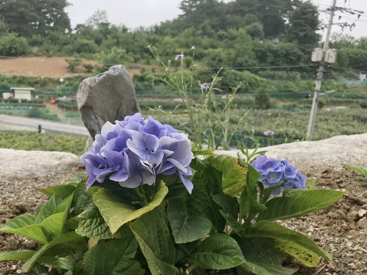 은영노인요양시설 이미지 8