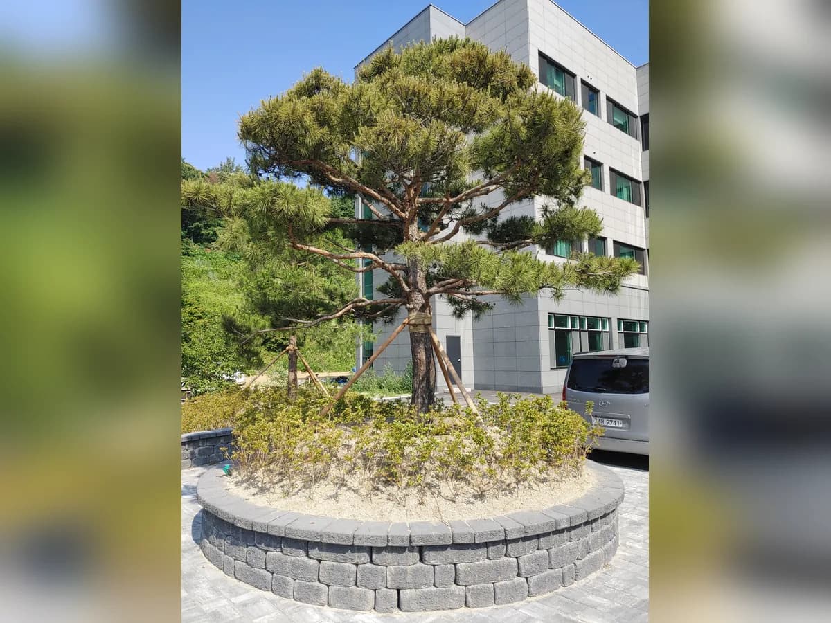 강릉부모사랑 이미지 2