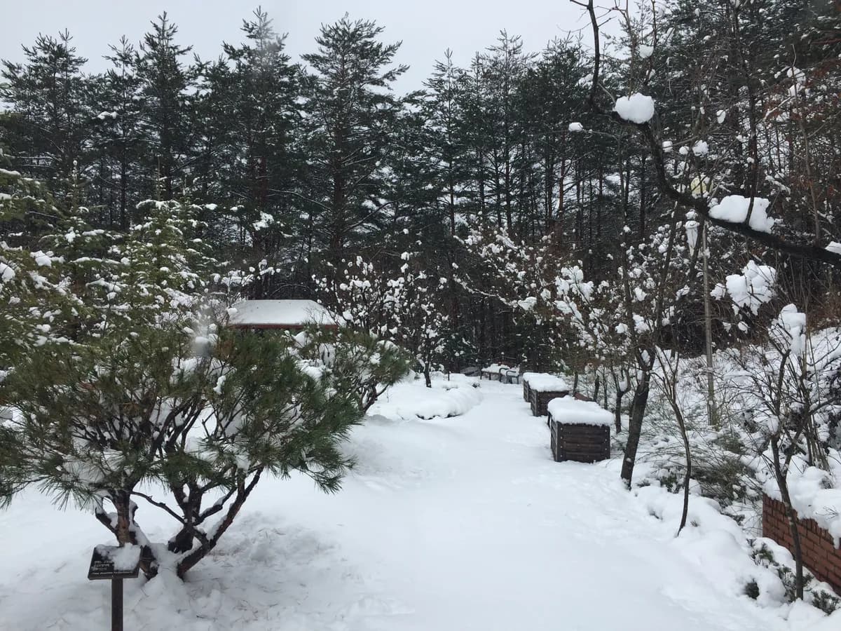 태백노인전문요양원 이미지 2