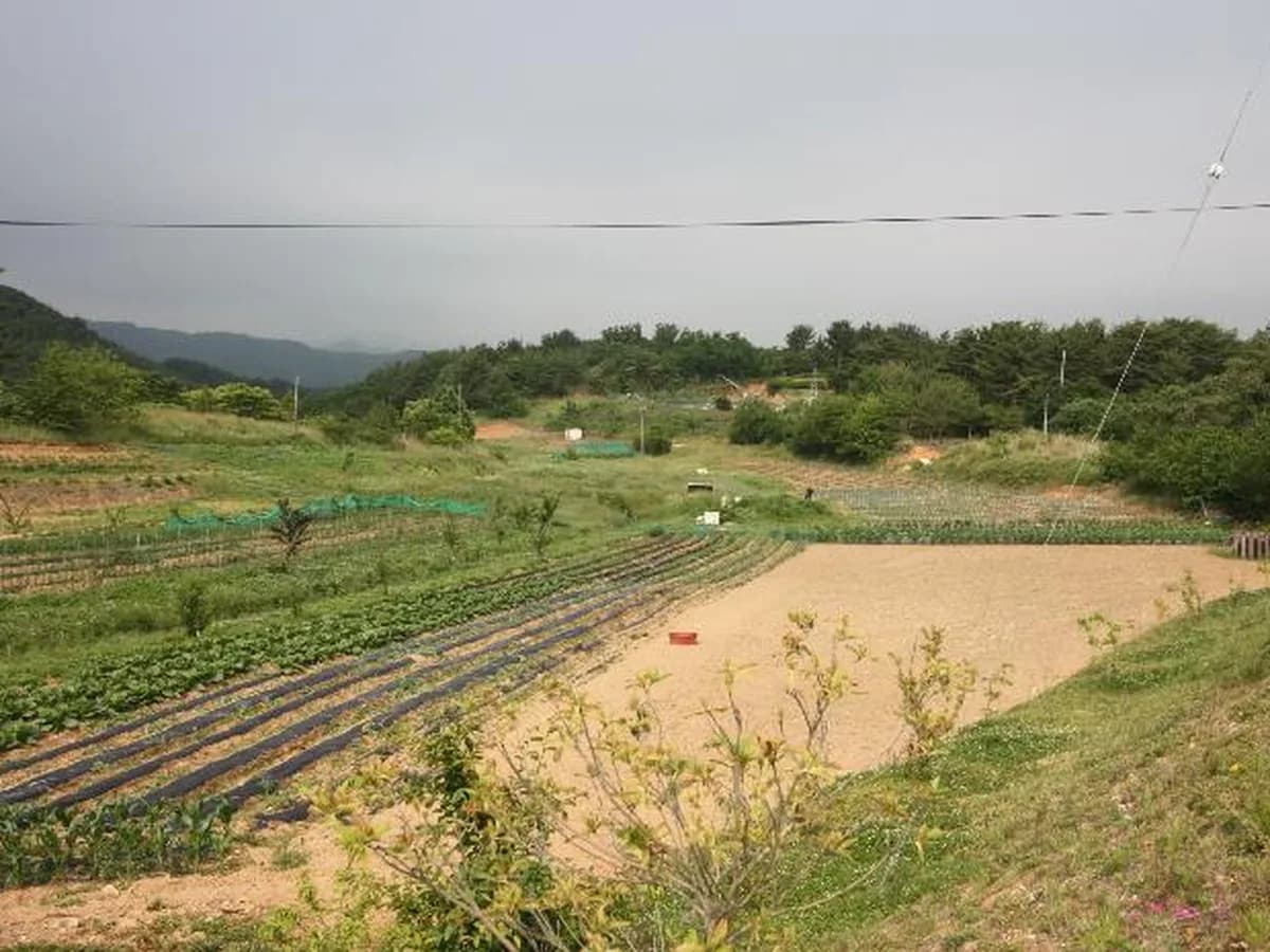 오렌지카운티노인요양원 이미지 4