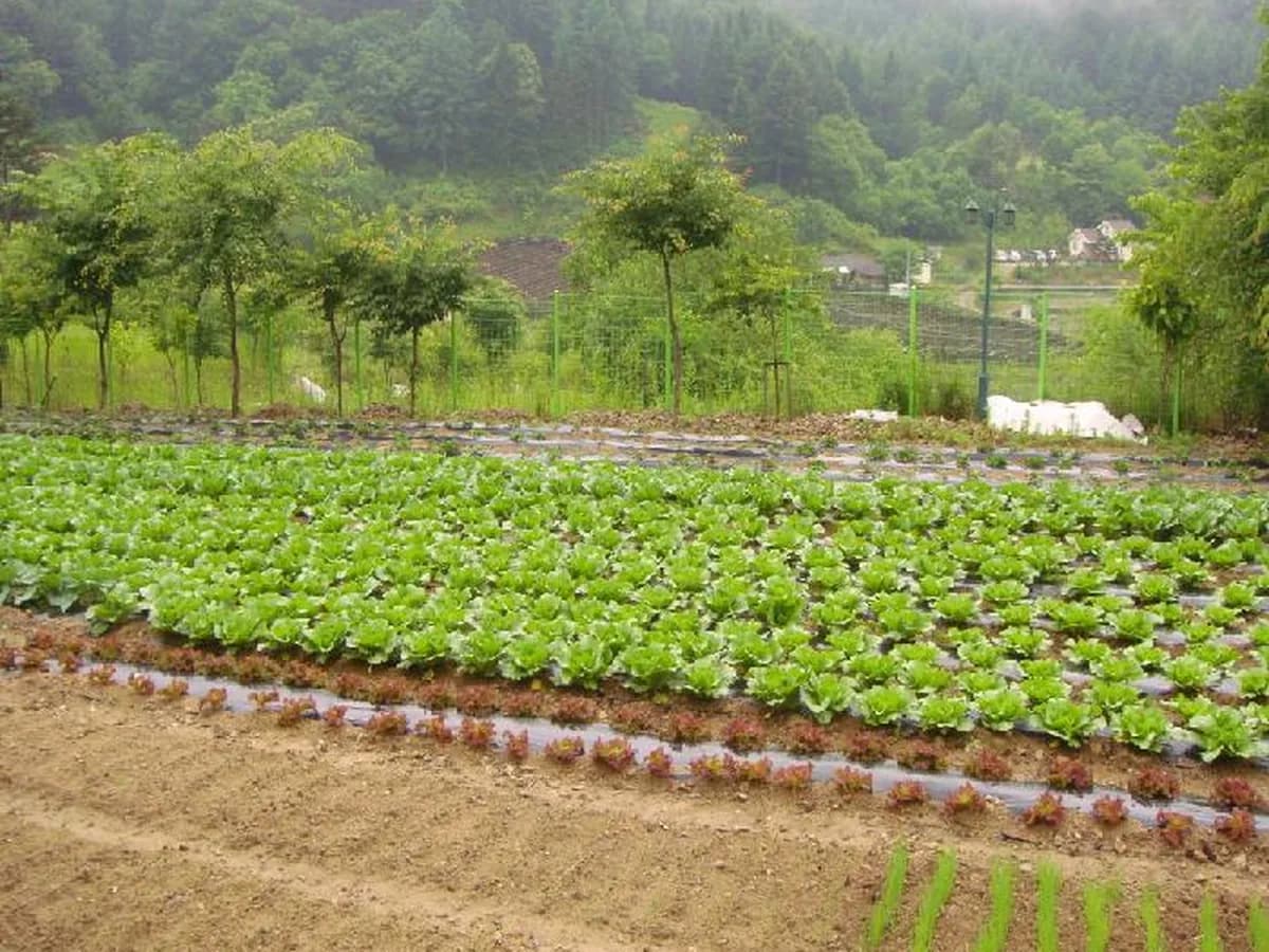 홍천노인전문요양원 이미지 4