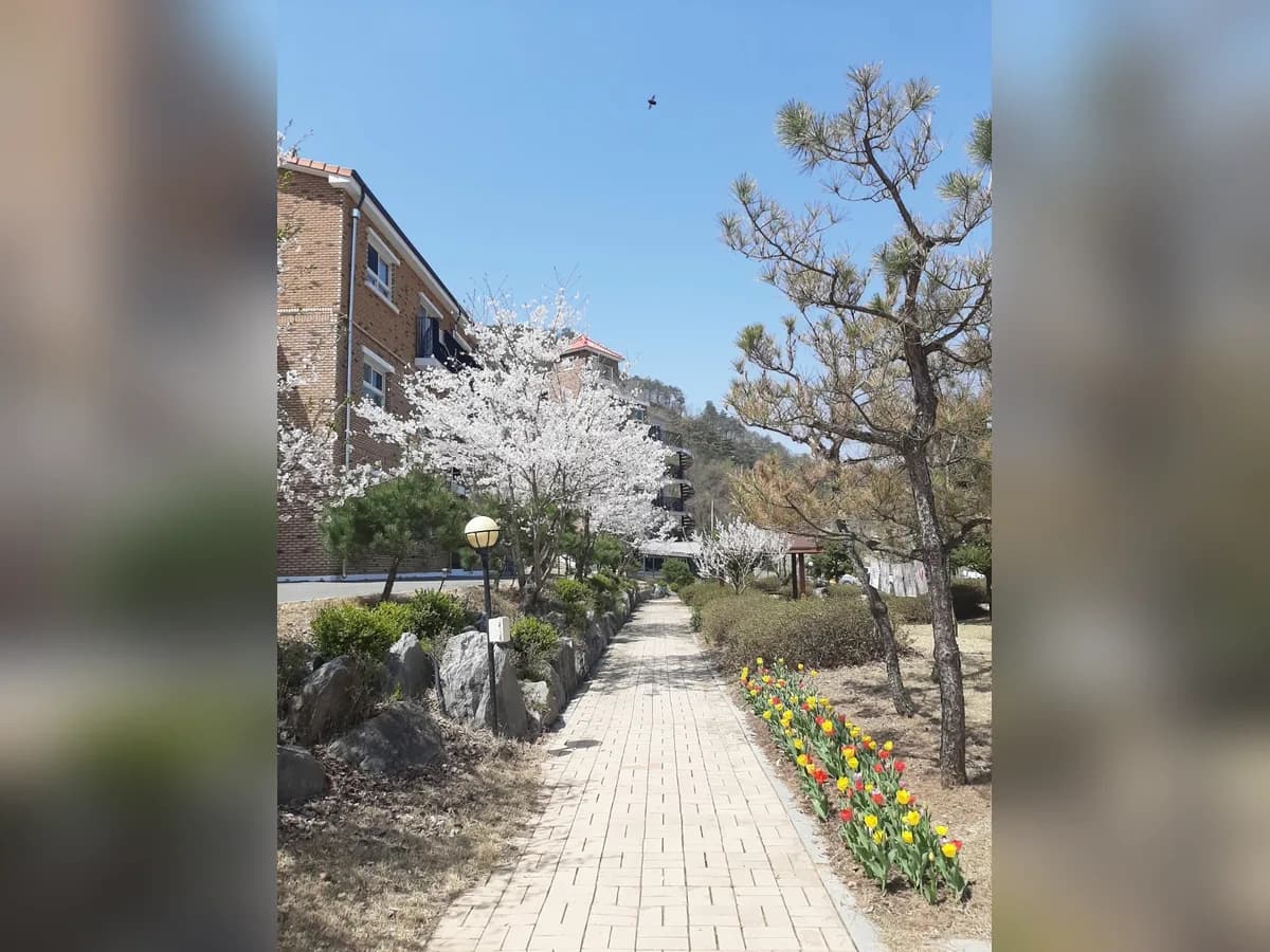 너브내노인전문요양원 이미지 8