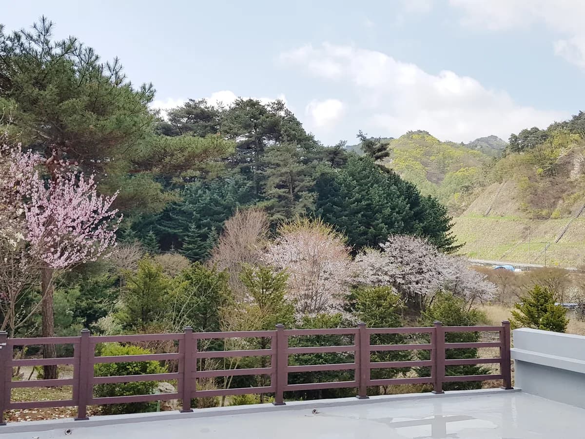 성심요양원 이미지 4