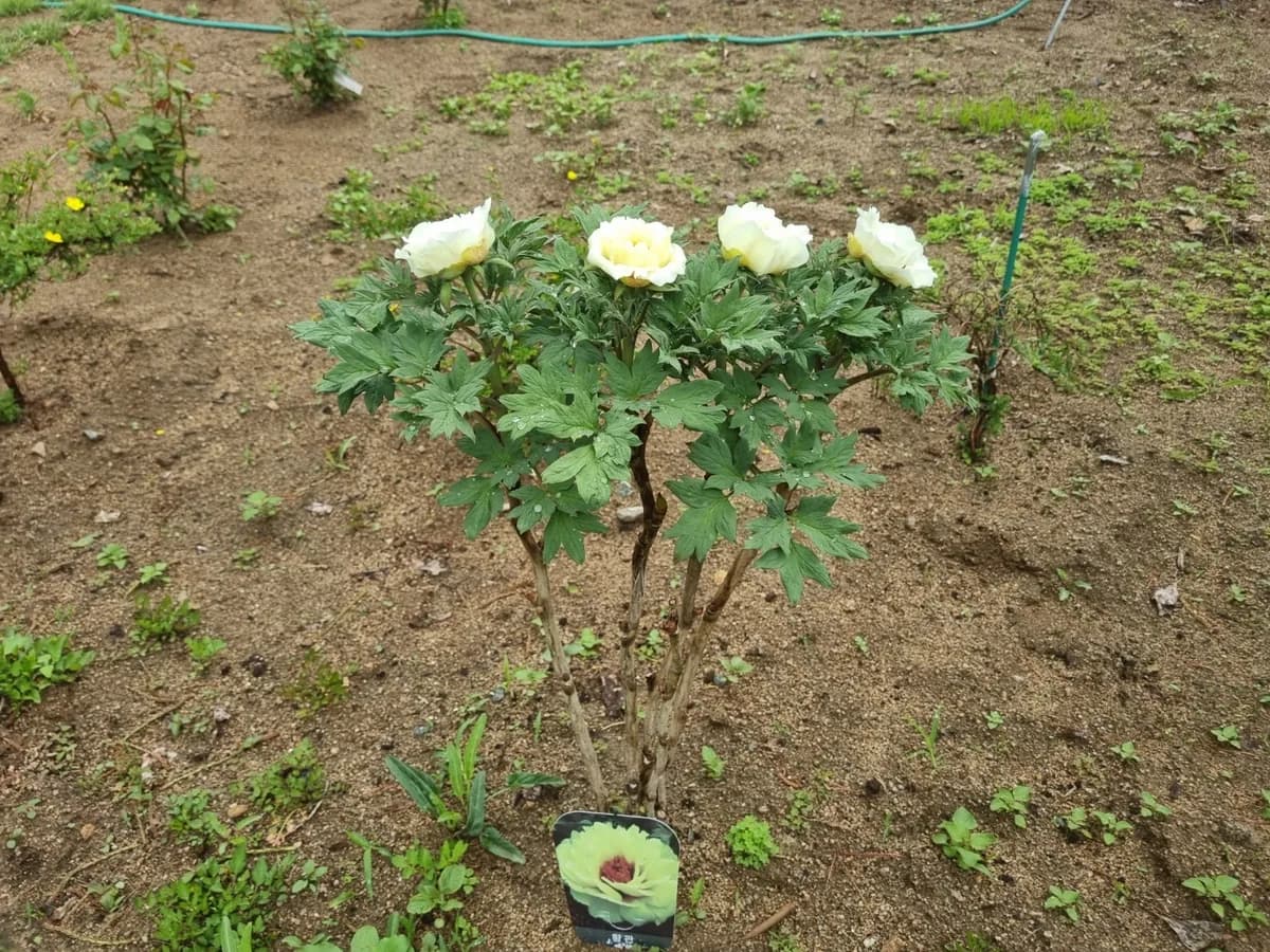 목천요양원 이미지 3