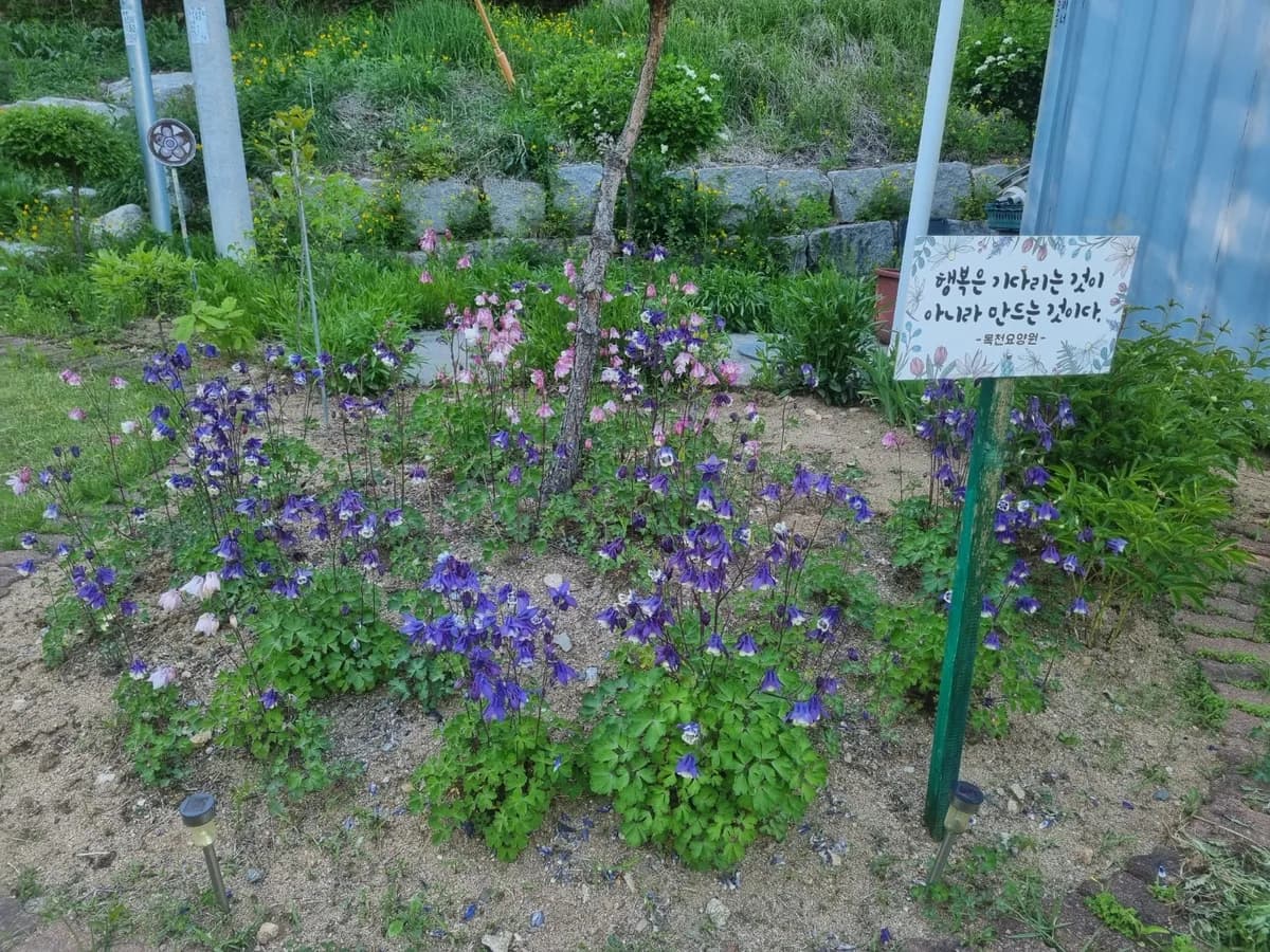 목천요양원 이미지 4