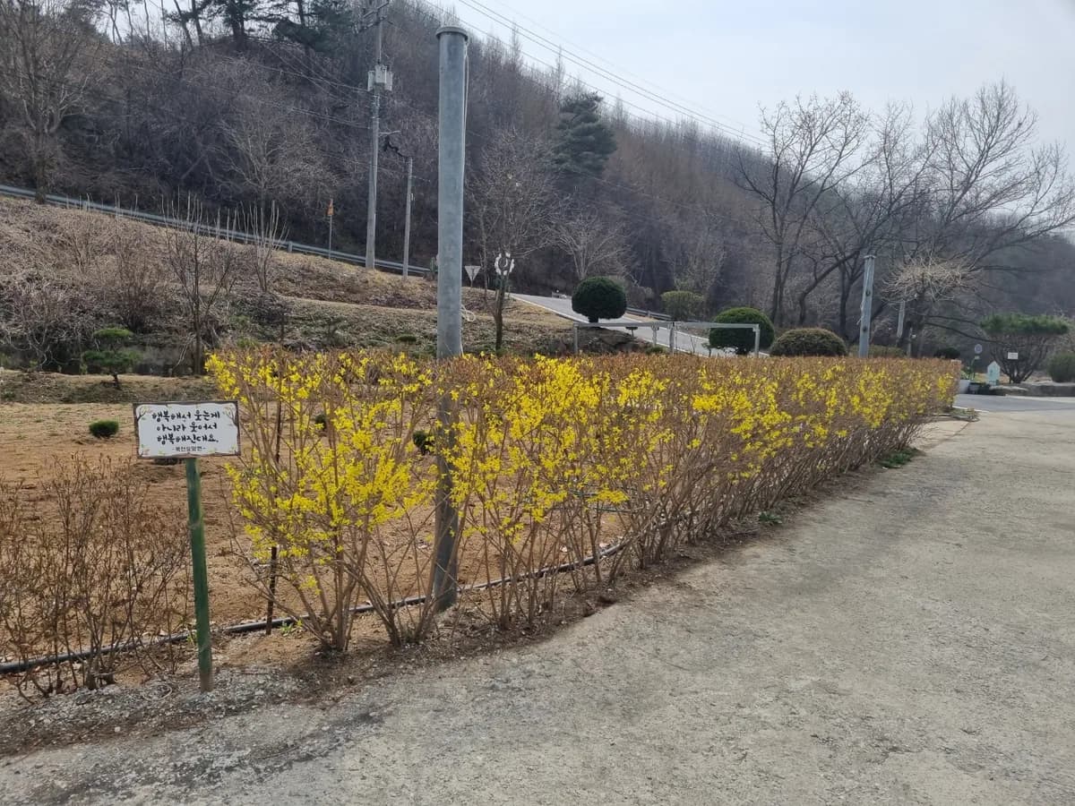 목천요양원 이미지 7