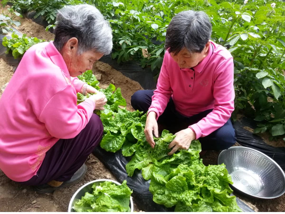 수성노인요양공동생활가정 이미지 3