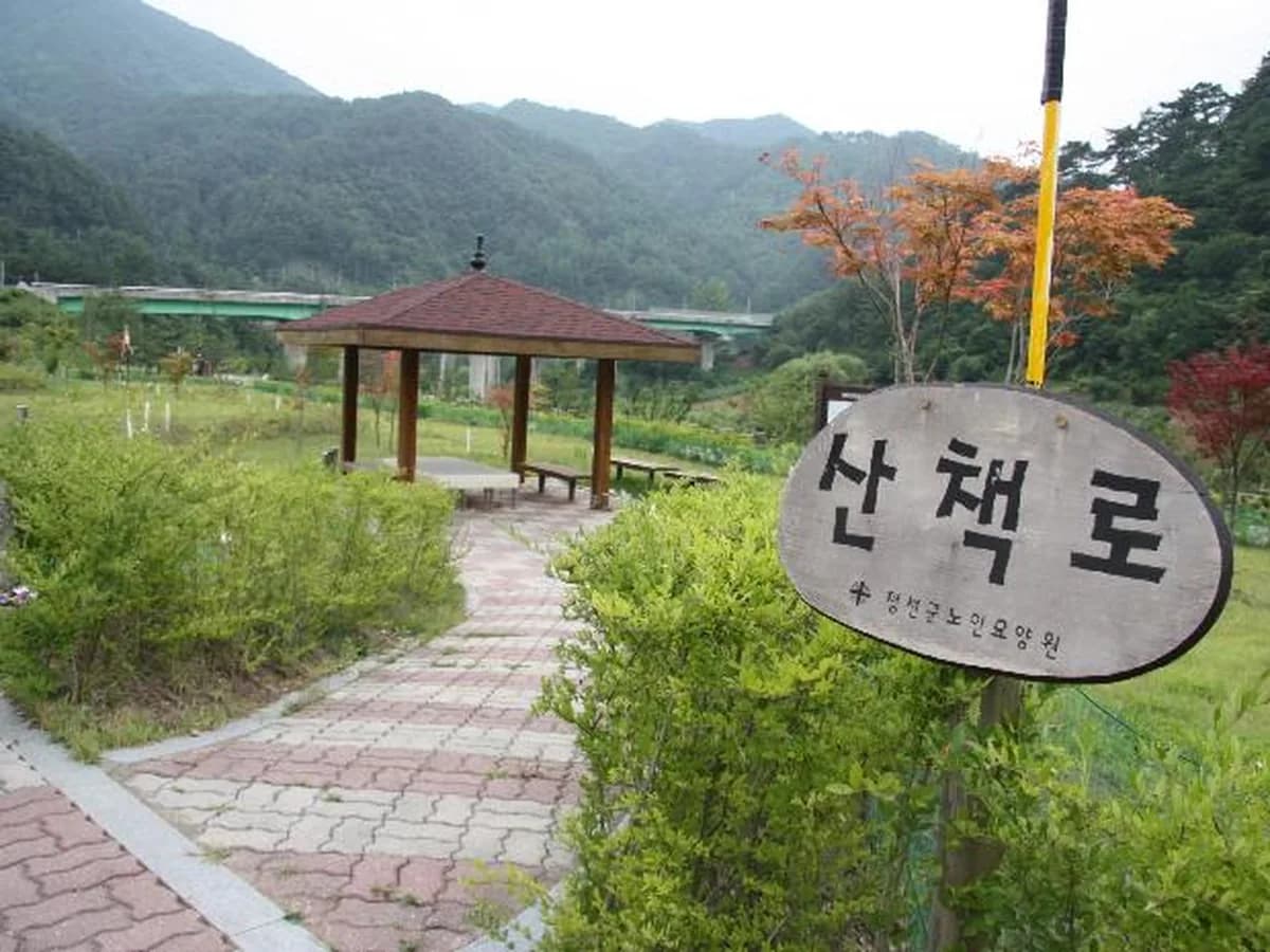 정선군노인요양원 이미지 4