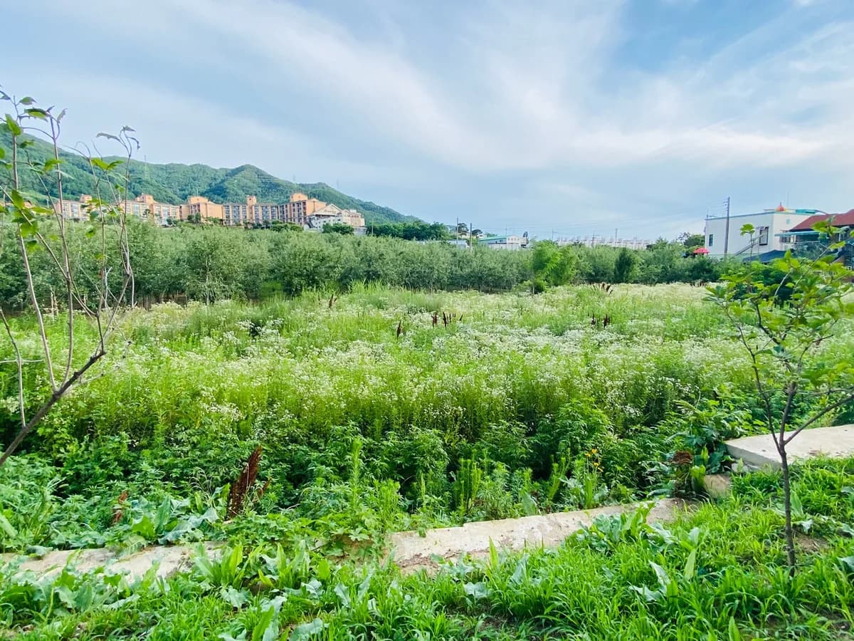 안림요양원 이미지 8