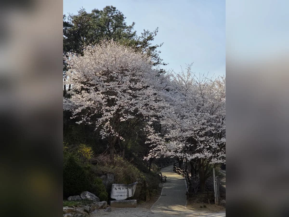 성보나벤뚜라노인요양원 이미지 7